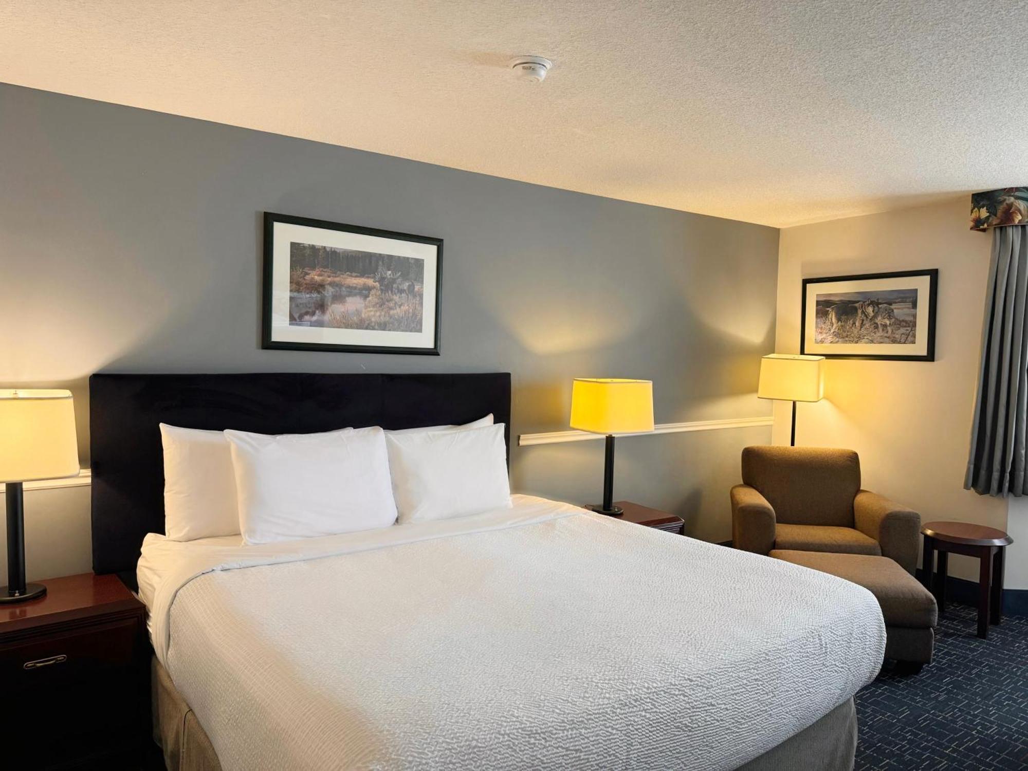 Divya Sutra Plaza And Conference Centre Calgary Airport Otel Dış mekan fotoğraf